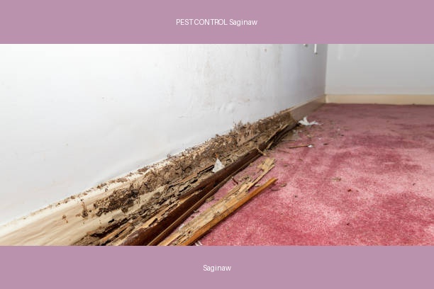 PEST CONTROL Saginaw